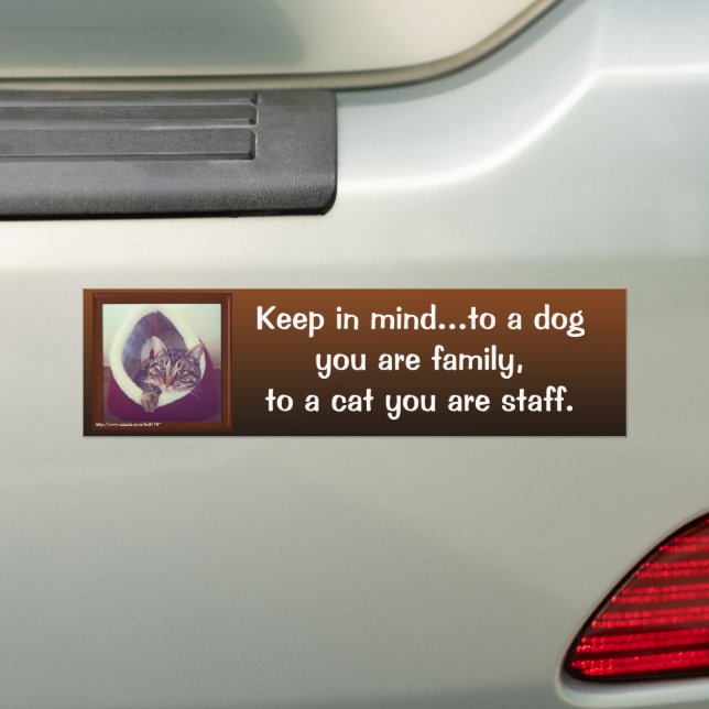 Funny Cat Quote Tabby In A Hut Photograph Bumper Sticker (On Car)