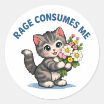 Funny Cat Rage Consumes Me