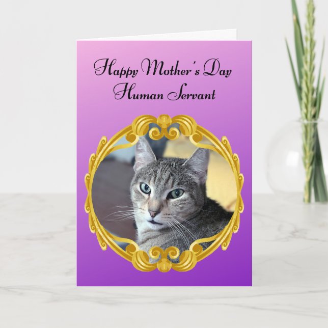 Funny Cat Rules the Household Mother's Day Card (Front)