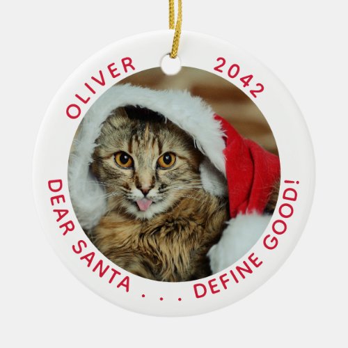 Funny Cat Santa Christmas Ceramic Ornament