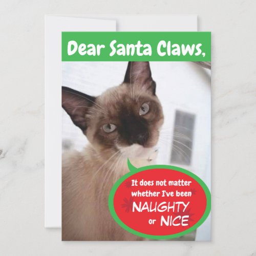 Funny Cat Santa Claws Holiday Greeting Card