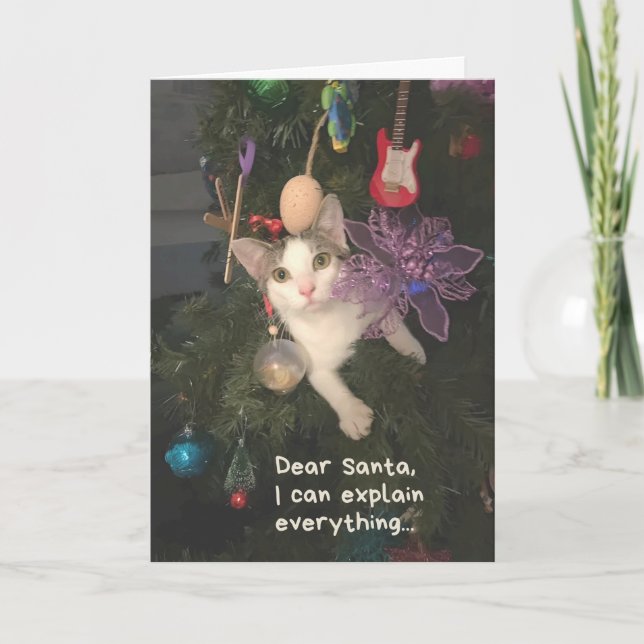 Funny Cat Santa I Can Explain Everything Christmas Card (Front)