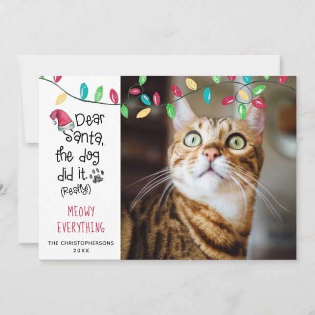 Funny Cat Saying Bright Holiday Lights Photo (Front)