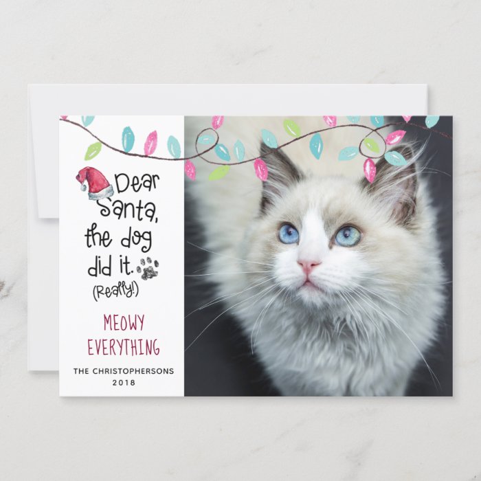 Funny Cat Saying | Pastel Lights | Photo Holiday Card