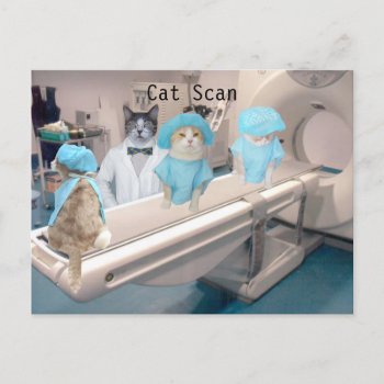 Funny Cat Scan Image Postcard by myrtieshuman at Zazzle