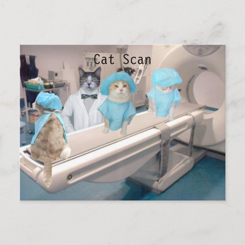 Funny Cat Scan Image Postcard