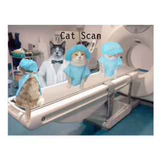 Funny Cat Scan Image Postcard