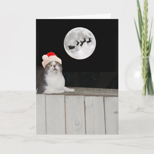 Funny Cat Sees Santa Holiday Card (Front)