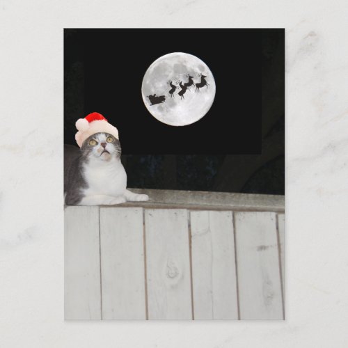 Funny Cat Sees Santa Holiday Postcard