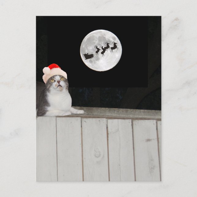 Funny Cat Sees Santa Holiday Postcard (Front)
