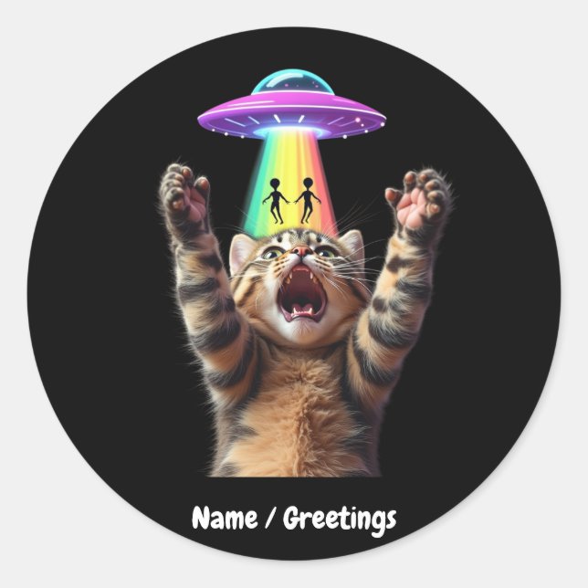 Funny Cat Selfie Alien UFO Hilarious Customizable Classic Round Sticker (Front)