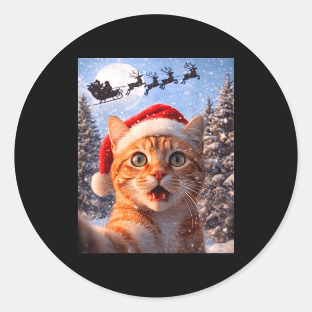 Funny Cat Selfie With Santa Claus Christmas Men Wo Classic Round Sticker (Front)