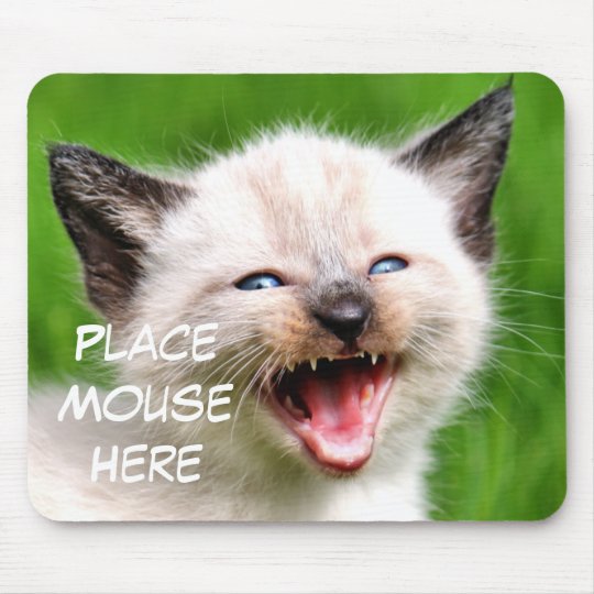 Funny Cat Siamese Kitten Place Mouse Here Mouse Pad | Zazzle.com