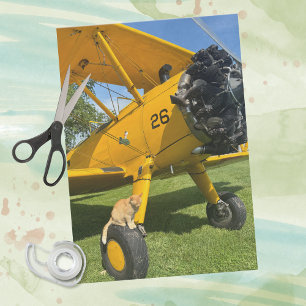 Funny Cat Sits Airplane Aviation Humor Pilot Gift Tissue Paper