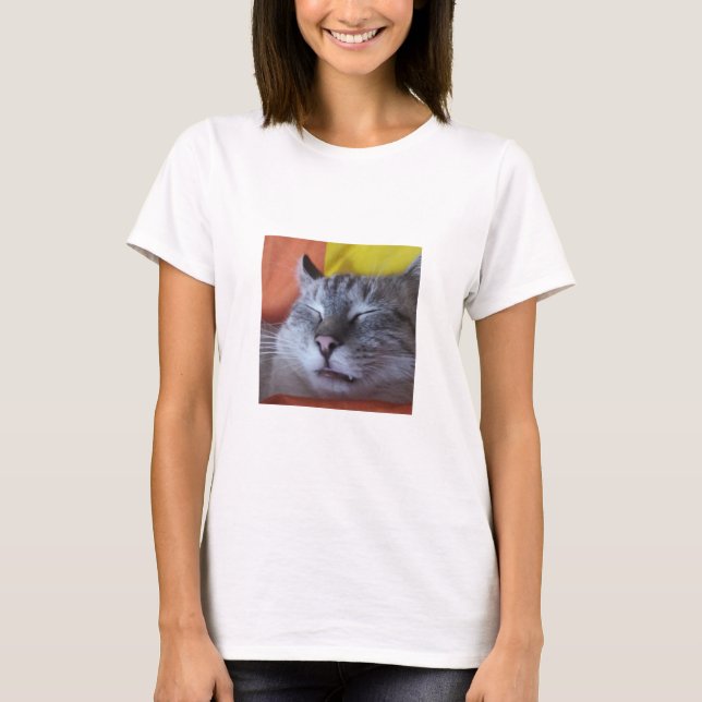 Funny Cat Sleeping Women's T-Shirt (Front)