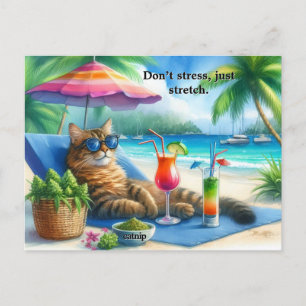 Funny Cat Slogan Kitty at Beach  Postcard