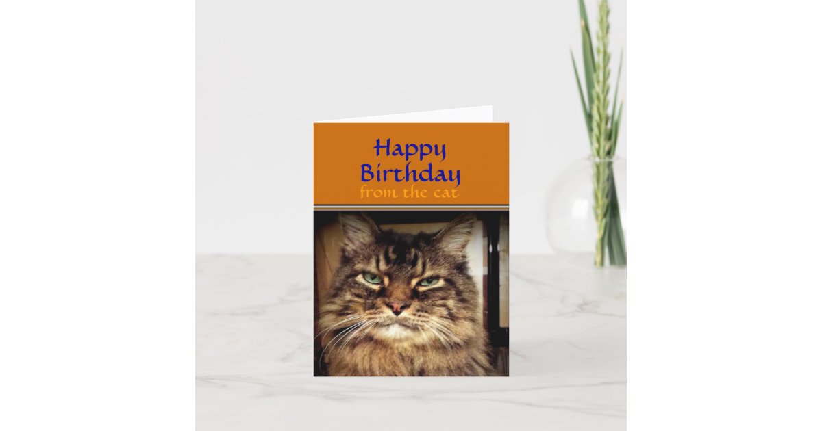 Funny Cat Smile It S Your Birthday Greeting Card Zazzle Com