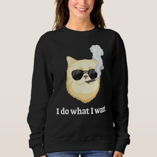 Funny Cat Smoking I Do What I Want Sweatshirt