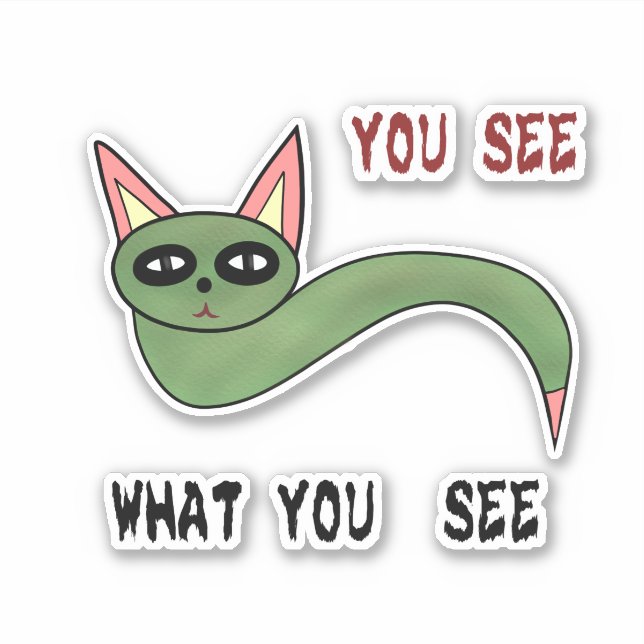 Funny cat snake  sticker (Front)