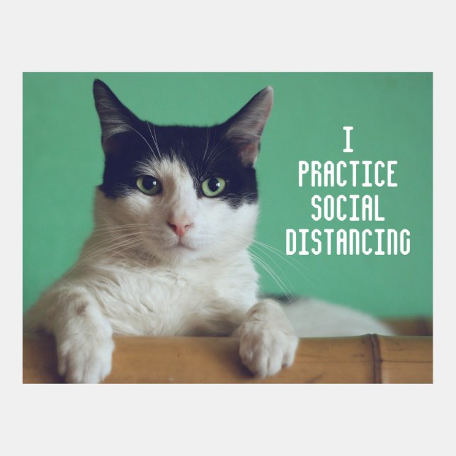 Funny Cat Social Distancing Postcard Template (Front)