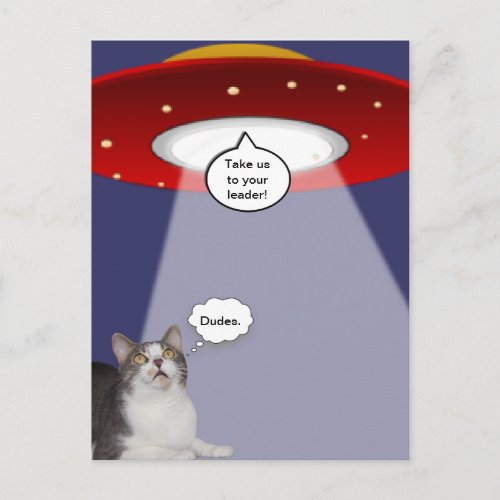 Funny Cat  Spaceship Postcard