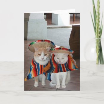 Funny Cat Spanish Birthday For Husband Or Wife Card by myrtieshuman at Zazzle