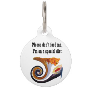Funny Cat Special Diet Medical Pet ID Tag