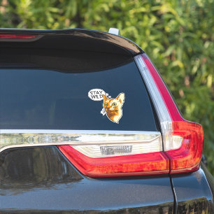 Funny Cat Stay Wild Animal Pet Kitty Sticker