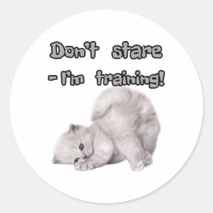 Funny Cat Sticker