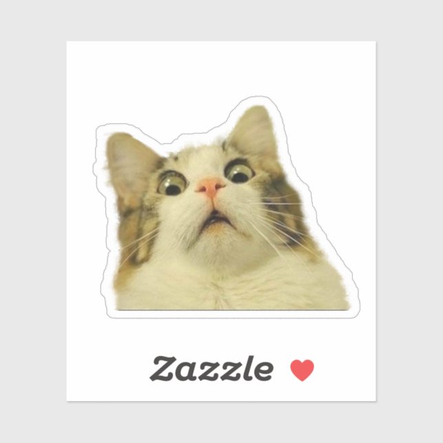 Funny Cat Sticker (Sheet)