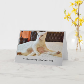 Funny Cat Telecommuting Without Pants Card