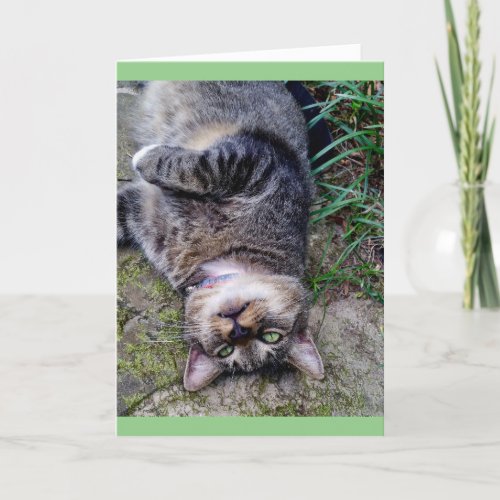 Funny Cat TENS unit Card