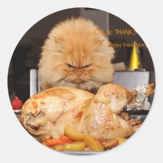 Funny Cat Thanksgiving  Classic Round Sticker
