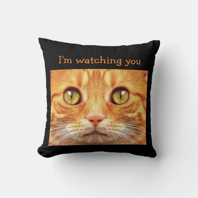 Funny Cat Theme Throw Pillow (Front)