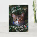 Funny Cat Tree Ornaments History Christmas Card<br><div class="desc">if you (or your intended recipient) have a cat, i'm sure you know how well behaved they are when it comes to shiny or tassled objected dangling from a branch within reach (or completely out of reasonable reach all-together) the front of this greeting card features an image of a cat...</div>