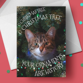 Funny Cat Tree Ornaments History Christmas Card by StinkPad at Zazzle
