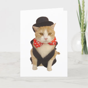 Funny Cat Valentine Holiday Card