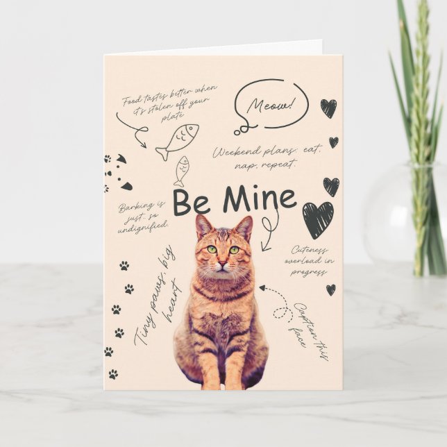 Funny Cat valentine's day cards (Front)