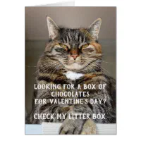 DIY Valentine Card, Printable Funny Valentine Cards, Funny Cat Valentines  Card, Digital Download, From the Cat Pick up Line Card 