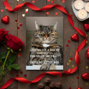 Funny Cat Valentine's Day Meme Anti-Valentine Cards