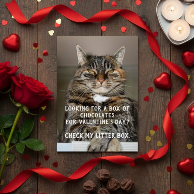 Funny Cat Valentine's Day Meme Anti-Valentine Cards (Creator Uploaded)