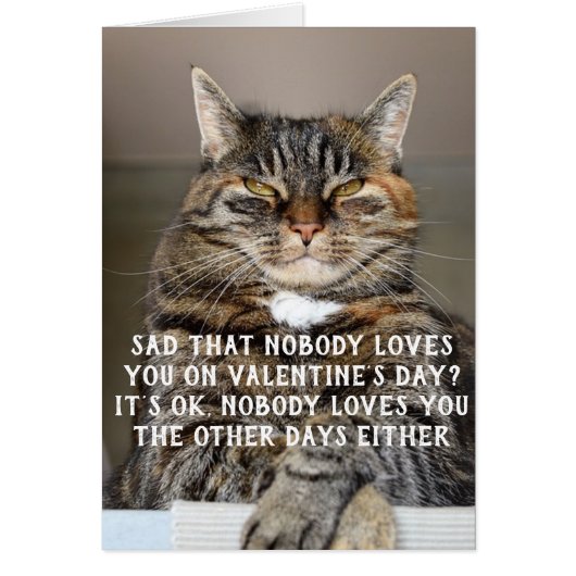 Funny Cat Valentine's Day Meme Cards (Front)
