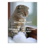 Funny Cat Valentine's Day Meme Single at Zazzle