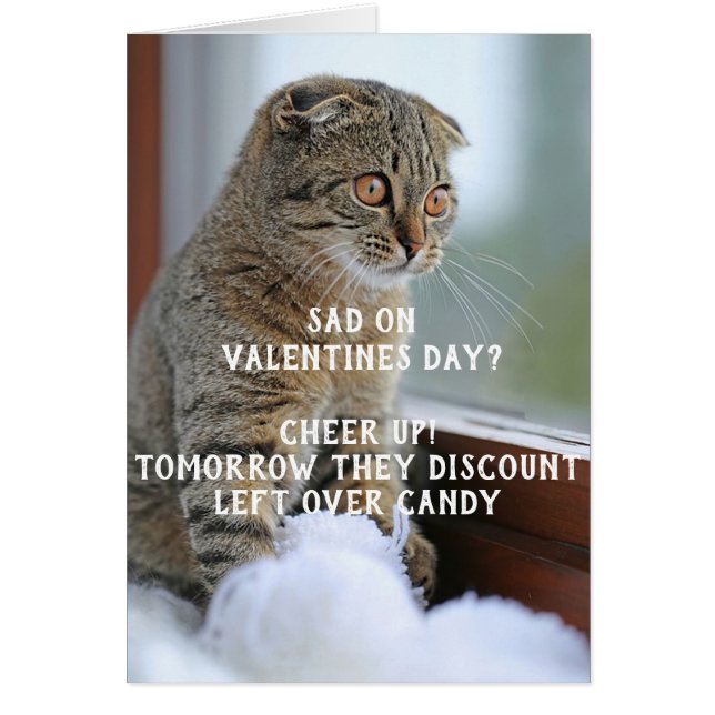 Funny Cat Valentine's Day Meme Single (Front)