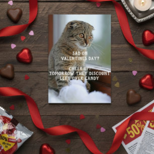 Funny Cat Valentine's Day Meme Single Cards