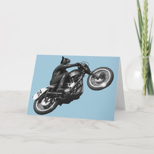 funny cat vintage motorcycle holiday card