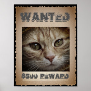 Big Floppa Wanted Poster Sticker Funny Caracal Cat Meme 