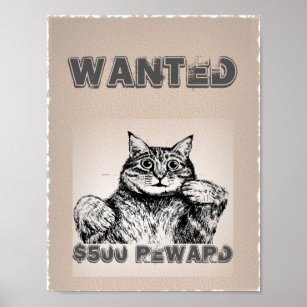 Funny Cat Wanted Poster
