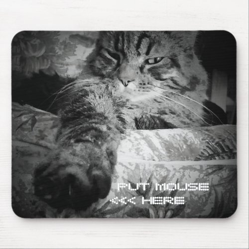 Funny cat wants mouse mouse pad