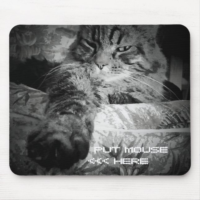 Funny cat wants mouse mouse pad (Front)
